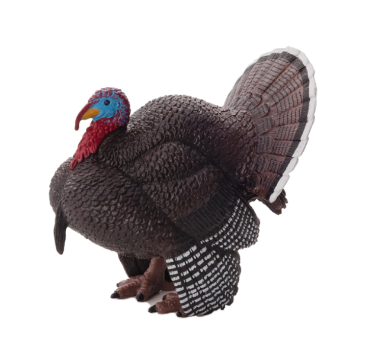 بوقلمون نر  موجو Male Turkey 387285